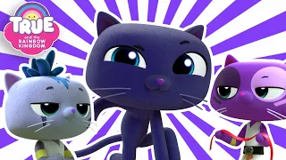Bartleby and the Ninja Cats! 😼🎶 Songs and Full Episodes 🎶🐈‍⬛ True and the Rainbow Kingdom 🌈