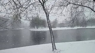 "Throwback" of the winter in Kharlamov urban park.🌨️❄️ Apr.19th, 2024.