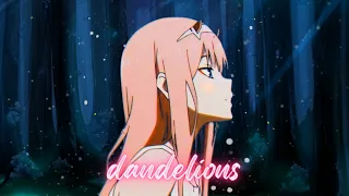 zero two edit - dandelions (svp)