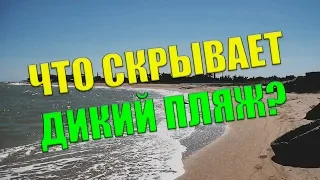 Дикий пляж возле Лоцмана / Красный лиман /  Начало Бердянской косы