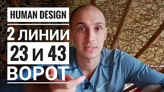 Дизайн Человека 23 и 43 ворота. 2 линии. Даниил Трофимов. Human Design