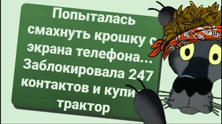 ✔️Надо или кухню переносить к компьютеру, или наоборот.  Анекдоты с Волком. #ВГостяхУВолка