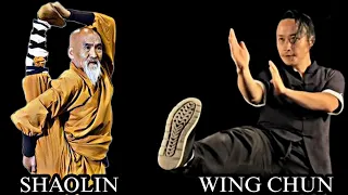 SHAOLIN KUNG FU VS WING CHUN!