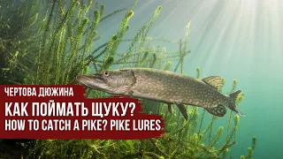 Pike fish