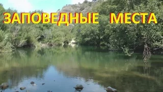 Заповедные места. Дикая природа Испании