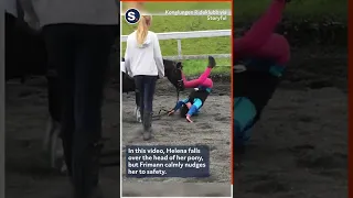 Gentle Pony Helps Girl Who Falls Off After Fence Jump