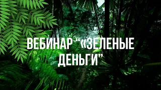 Вебинар «Как создавать сады на балконах,и зарабатывать на этом»