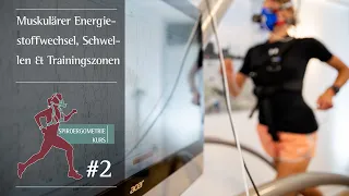 #2 Trainingszonen, aerobe und anaerobe Schwelle