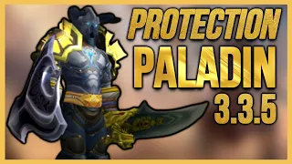 PROTECTION PALADIN 3.3.5 PVP - BEGINNER GUIDE WARMANE WOTLK Classic (Gear,Talents,Duels) 2022