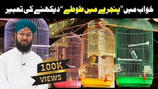 khwab mein Tota (Parrot) Ko Pinjray Main Dekhny Ke Tabeer in Urdu/Hindi | Mansur Ahmad Attari