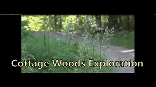 My Bigfoot Story Ep. 187 - Any Sign Of Bigfoot Around The Cottage