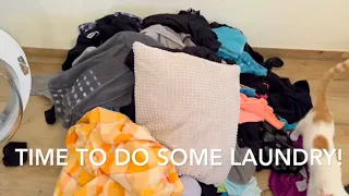 BIG laundry day! (11 loads of laundry)