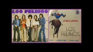 Los Felinos - Báilalo (1973) ROCK MEXICANO DE LOS 70s