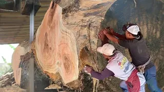 Das teuerste Holz und mit der besten Sägewerkssäge geschnitten