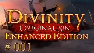 Divinity: Original Sin - Enhanced Edition [Deutsch] #001 🗡Das Abenteuer beginnt