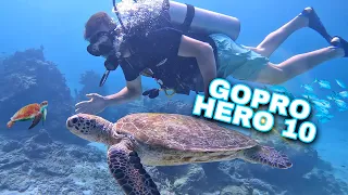 Gopro Hero 10 Beautiful underwater moments