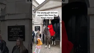 The girl did not expect this from the King's Horse #horses #london #thekingsguard #kingsguard #viral