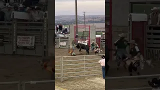 He landed on the bull!#shorts #america #rodeovideos #rodeo #crazyanimals #idaho #cowboy