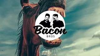 K.I.Z. - Ein Affe und ein Pferd (Bacon Bros Hardstyle Remix)