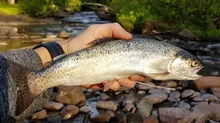 Pocupine Mountains Spring 2021 Sucker and Trout Fishing