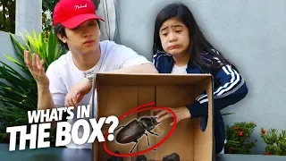 What's Inside The Box Challenge!! | Ranz and Niana