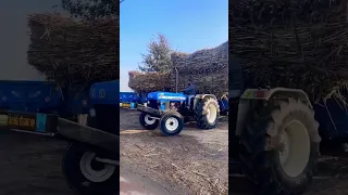 Full loaded Sugarcane Trolley Pulling Holland