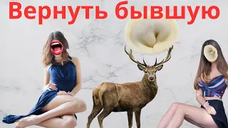 Вернуть БЫВШУЮ Что будет если вернуть бывшую девушку