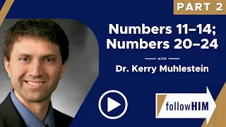 Follow Him Podcast: Numbers 11-14, 20-24 — Part 2 w/Kerry Muhlestein | Our Turtle House