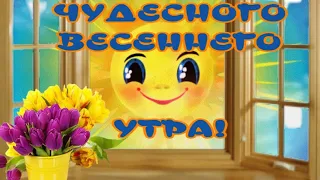 Чудесного весеннего Утра😀 Прекрасного Дня🥰Отличного Настроения🎶Очень красивая музыкальная открытка