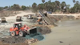 Super Power Team 10-Wheel Dump Truck and Wheel Loader DOOSAN SD300N Pushing Clearing Dirt