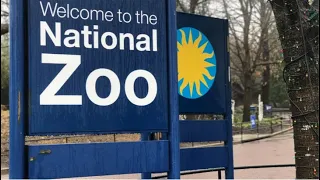 WATCH: DC National Zoo evacuated after reports of a bomb threat