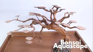 How to Make A Bonsai for Aquarium - Bonsai Aquascape