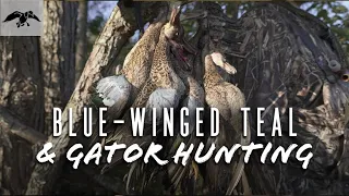 Blue-Winged Teal and GATOR Hunting with Phil Robertson and Justin Martin | Duck Season 2022