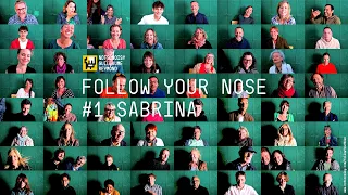 Follow your nose (an interactive art installation)