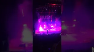 Bush - Little Things en Lima Perú2019