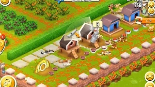 Hay Day Level 75 Update 9 HD 1080p