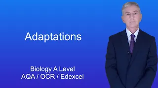 A Level Biology Revision "Adaptations"