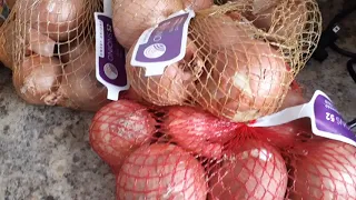 WHAT TO DO WITH SPROUTING ONIONS / GARDEN