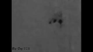 Possible Bigfoot Thermal Video North Alabama Kudzu