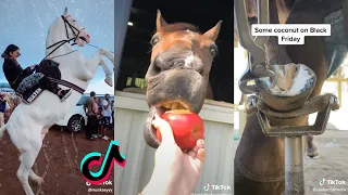 The Best HORSE TikTok Compilation 2022 #102