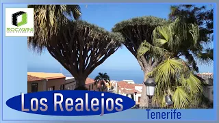 Tenerife -  Los Realejos