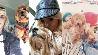 Hayley Williams: ‘My dog is the reason I’m alive’