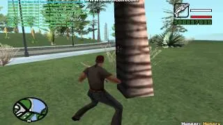 gta sa 2014 07 30 02 29 50 709