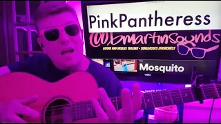 Mosquito - PinkPantheress Guitar Tutorial (Beginner Lesson!)