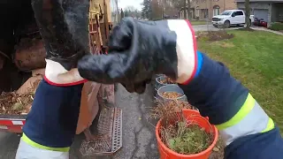 Yard Waste Late Fall II GoPro POV