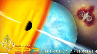 Supernova Aftermath (Cell to Singularity)