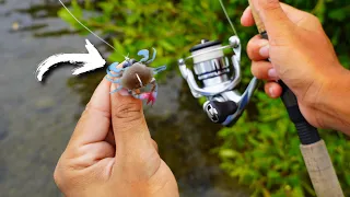 Fishing for TARPON and SHEEPSHEAD Deep in the Mangroves