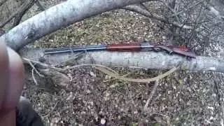 Моё ружье иж12кал.16  shotgun IZH 12 cal.16