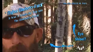 BIGFOOT BLUEBERRY-PATCH, THERE WERE KNOCKS! A WHOOP! & A WATCHER! Please Read Below