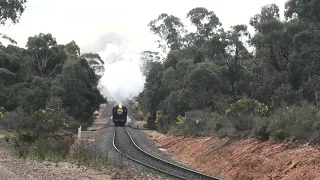 Panasonic HC-WXF1M Grainlander Steam Train Maryborough13 AUG2023 2